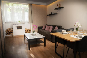 Premium Apartment by the Danube with AC